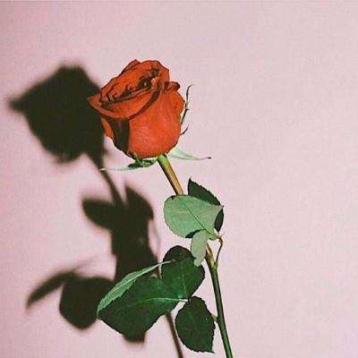 半岛棋牌游戏下载手机版截图